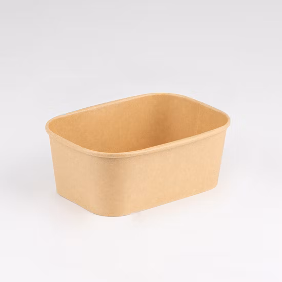 Natural Economy Square Recyclable Disposable Food Paper Bowl