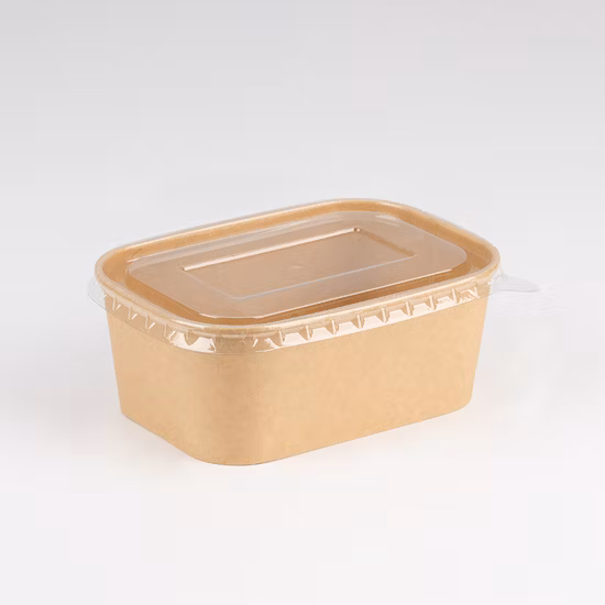 Natural Economy Square Recyclable Disposable Food Paper Bowl