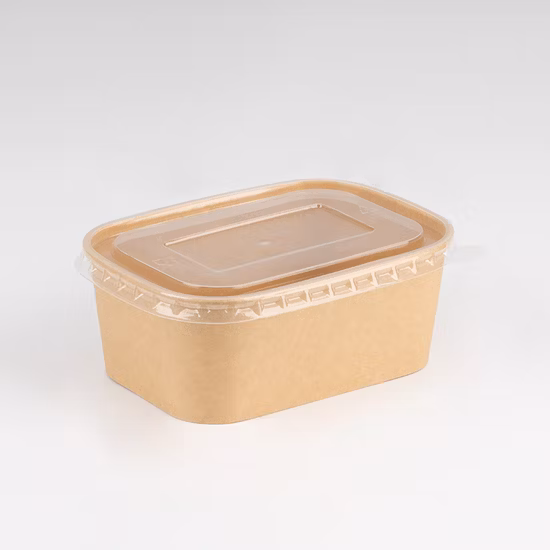 Natural Economy Square Recyclable Disposable Food Paper Bowl