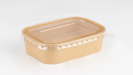 Natural Economy Square Recyclable Disposable Food Paper Bowl